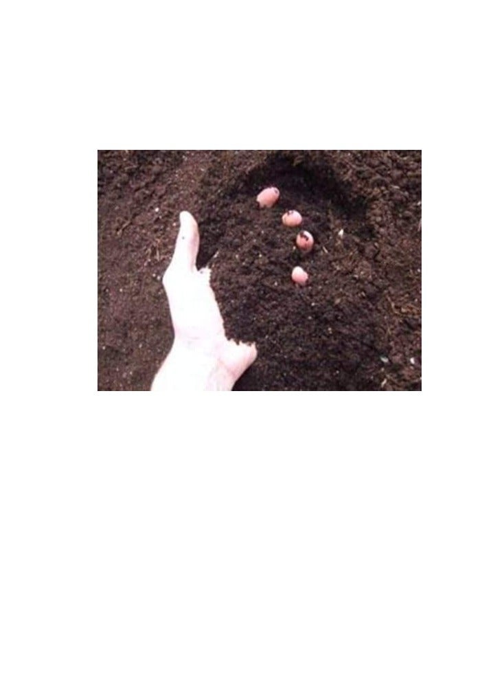 Vermicompost- Multipurpose Super Food for All Plants -for Healthy Plants and Soil - Ideal for Home and Terrace Gardens - Cattle Feed - Fertilizer - 950 gm (.9) - Image 1