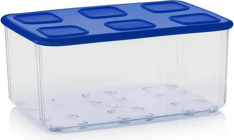Tupperware Transparent Container Set of 4