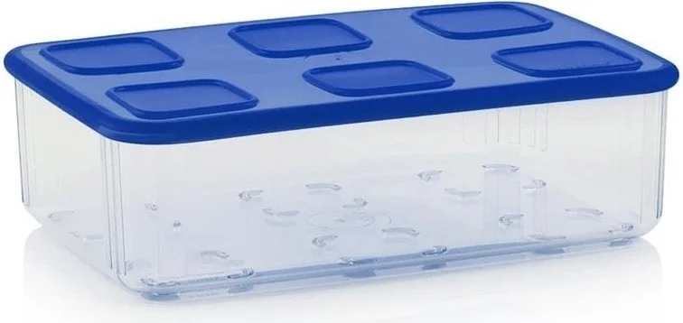 Tupperware Transparent Container Set of 4