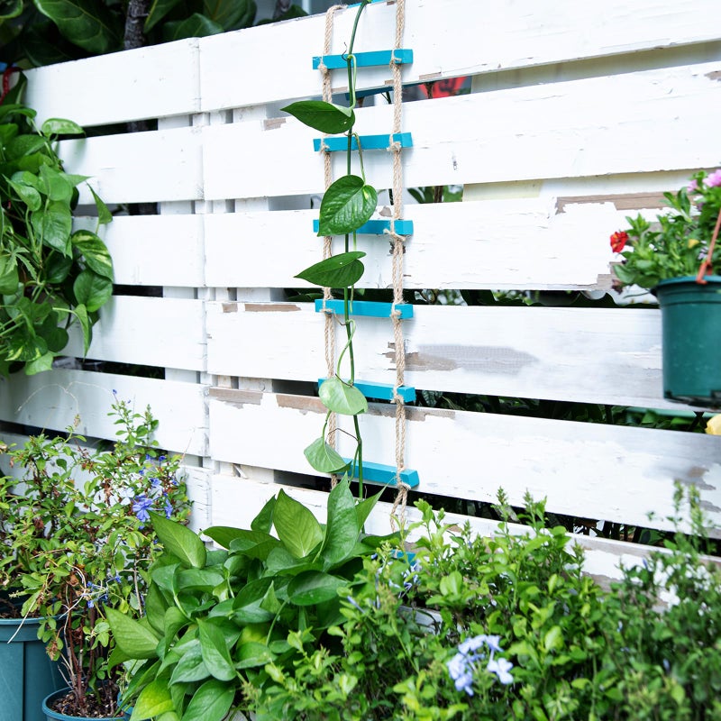 GOOOXIM Blue Chain Trellis for Climbing Plants Indoor - Durable Natural Wood Design for Pothos and Ivy Support - Decorative Decorative Wall Feature for Home and Garden - Image 5
