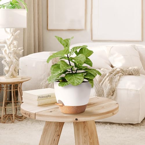 SE SUN-E 5Pack Self Watering Plant Pots for Lazy People, 7/6.5/6/5.5/5 Inch,White Plastic Self Watering Planter for All Houseplants,Succulent, African Violets,Snake Plants, Flowers and Cactus - Image 5