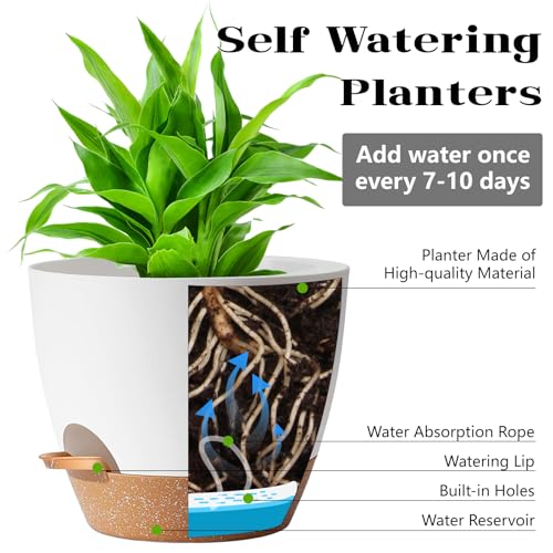 SE SUN-E 5Pack Self Watering Plant Pots for Lazy People, 7/6.5/6/5.5/5 Inch,White Plastic Self Watering Planter for All Houseplants,Succulent, African Violets,Snake Plants, Flowers and Cactus - Image 2