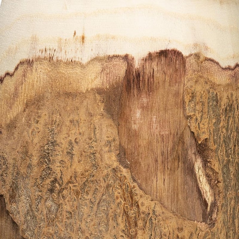 Creative Co-Op 12.5" H Carved Paulownia Wood Vase with Live Edge (Each one Will Vary) - Image 3