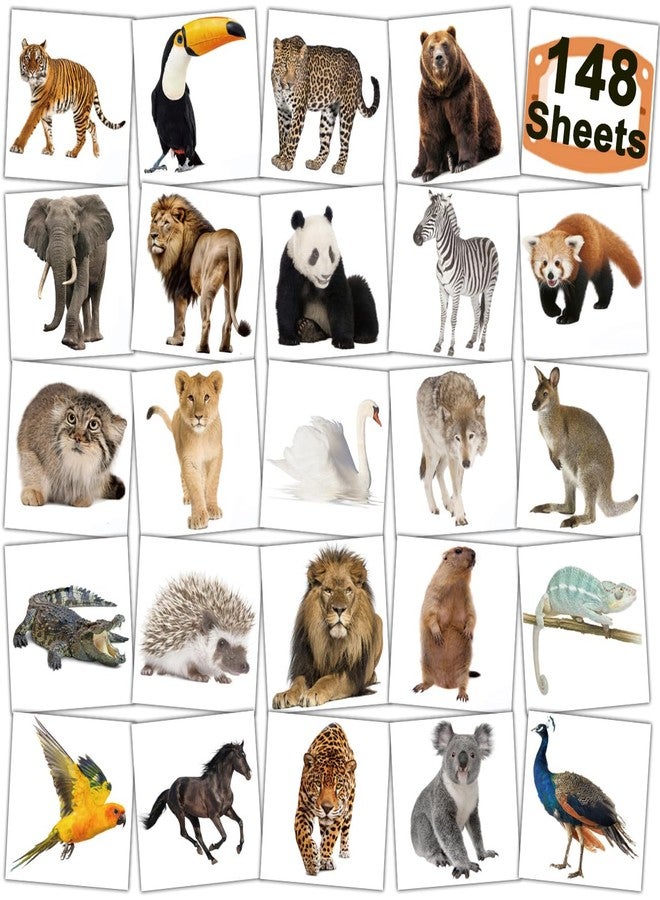CHARLENT Realistic Jungle Animals Temporary Tattoos for Kids - 148 Individually Sheets Safari Animals Tattoos for Boys Girls Wildlife Themed Birthday Party Supplies - Image 1