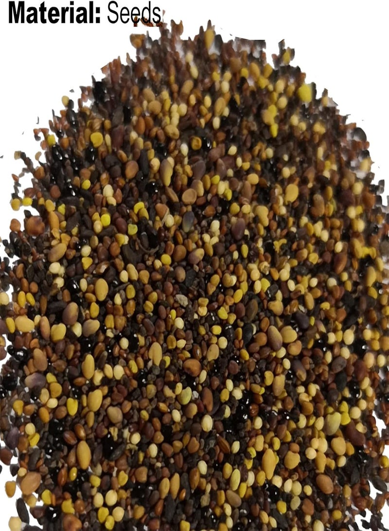 GGOOT Seeds Plant for Garden Decoration,100Pcs/Bag Succulent Seeds Fresh Lovely Appearance Aesthetic Householld Garden Seeds for Balcony - Succulent Seeds - Image 5