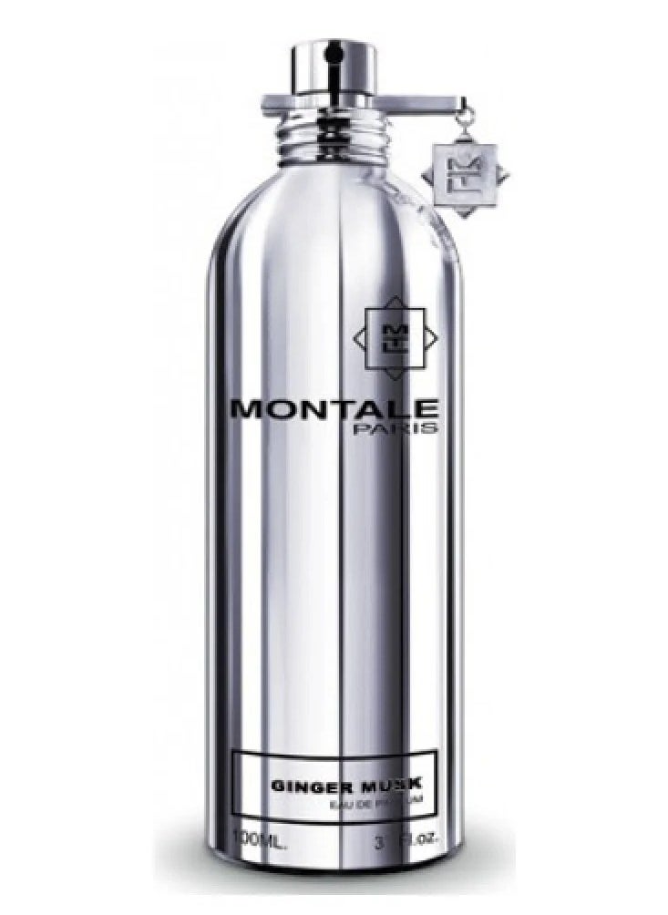 Montale Paris (Europe) Montale Ginger Musk Eau de Parfum 100ml  - Image 1
