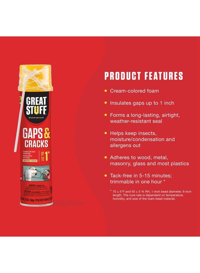 Great Stuff 157911 Insulating Foam Sealant, 20 Ounce, Ivory  - Image 3