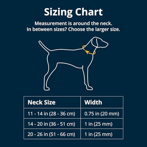 Ruffwear Crag Dog Collar Stylish Adventure Collar with Premium Reflective Design Quick Release Buckle Lightweight AllDay Comfort Rising Wave 1114 - Image 3
