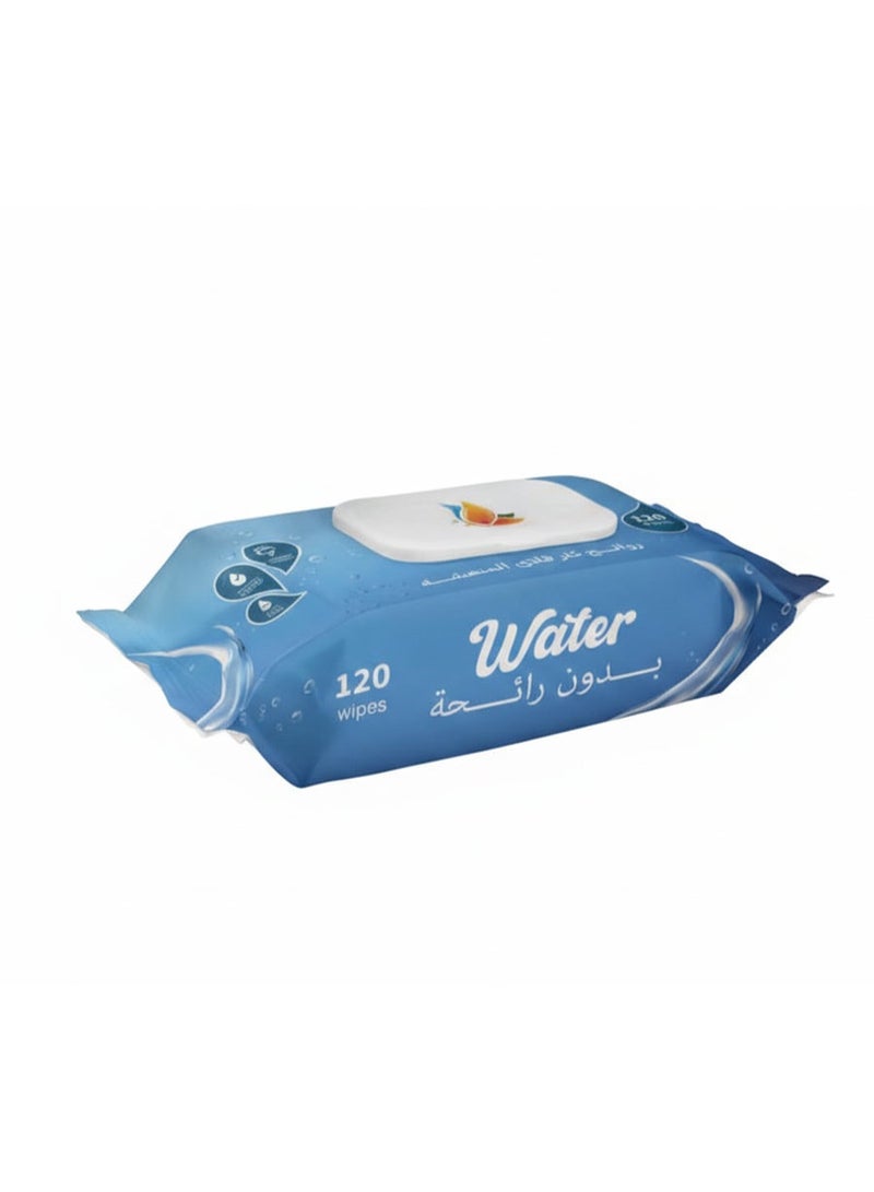Alcohol-Free Multi-Purpose Wet Wipes – Water Scent, 12 Pack – Fresh & Gentle Cleaning Wipes for Hands & Surfaces - Image 1