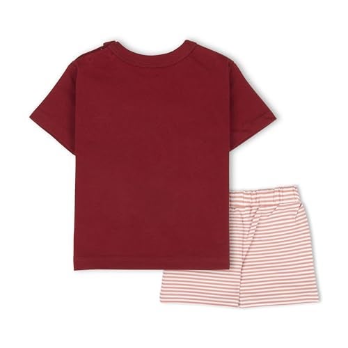 ARIEL Baby Boys & Baby girls Cotton Printed Round Neck Half Sleeve T-shirt & Short Trendy Summer Clothing Sets (blueglasspolar-3-6 months) - Image 2
