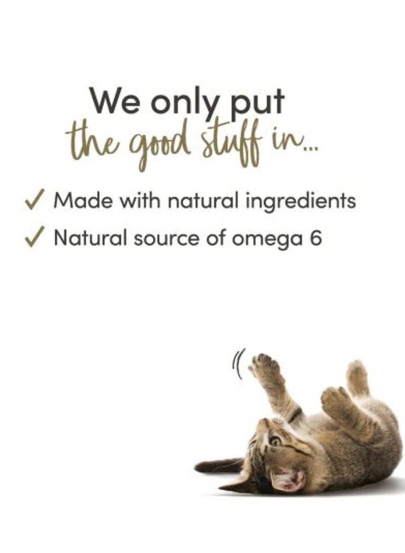 Applaws Cat Adult Wet Food Chicken And Cheese Flavor 70g Pack Of 6 - Image 3