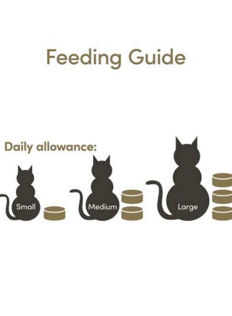 Applaws Cat Adult Wet Food Chicken And Cheese Flavor 70g Pack Of 6 - Image 4