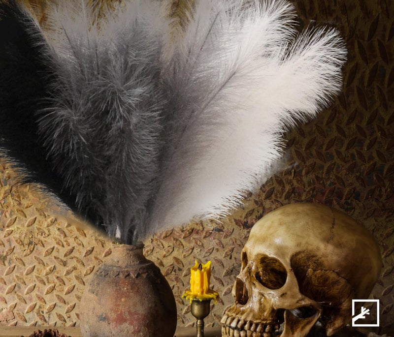 ZIFTY Black Pampas Grass Decor 6Pcs 38"/3.1FT Faux Dried Tall Fluffy Artificial Flower for Floor Vase Fake Bathroom Boho Home Decor Filler Farmhouse Decorations (Black, White, Grey) - Image 5