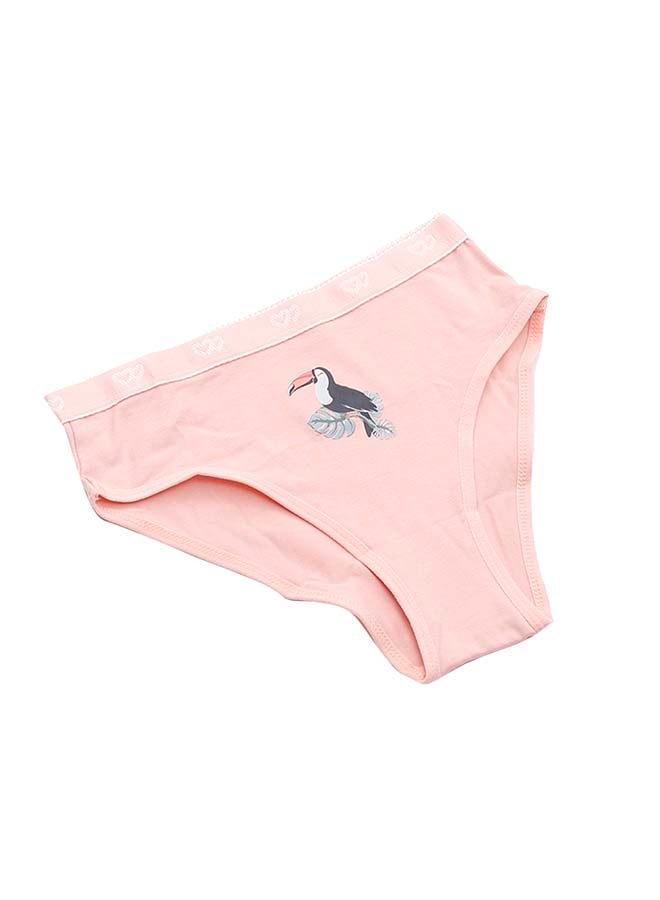 Carina Cookies Pack of 3 Colored Brief Panties - Image 3