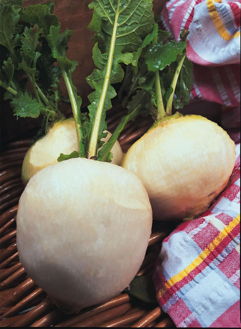 GGOOT Turnip Snowball - Brassica rapa 'Snowball' Vegetable Seeds, Also Known as White Egg Turnip Home Garden Planting by Heavy Torch, 200 Seeds
