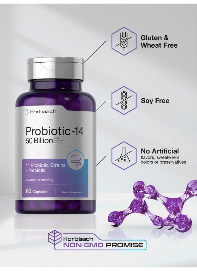Horbaach Horbäach Probiotics with Prebiotics | 60 Capsules | 50 Billion Active Organisms | Non-GMO & Gluten Free Supplement  - Image 4