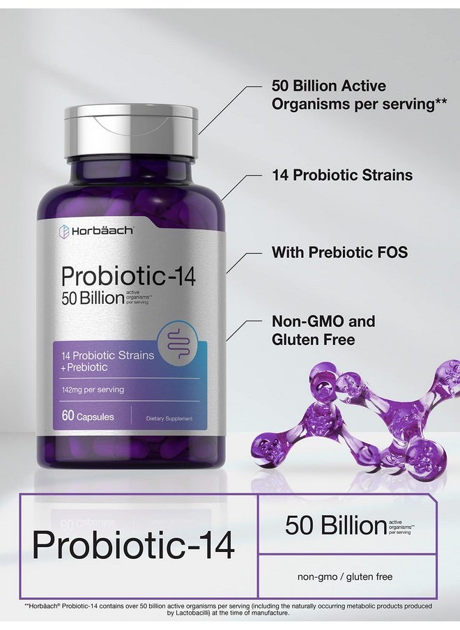 Horbaach Horbäach Probiotics with Prebiotics | 60 Capsules | 50 Billion Active Organisms | Non-GMO & Gluten Free Supplement  - Image 3