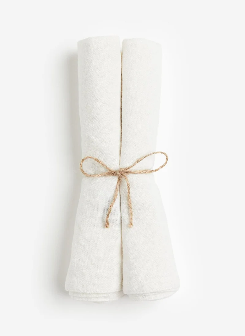 H&M 2-Pack Linen-Blend Napkins