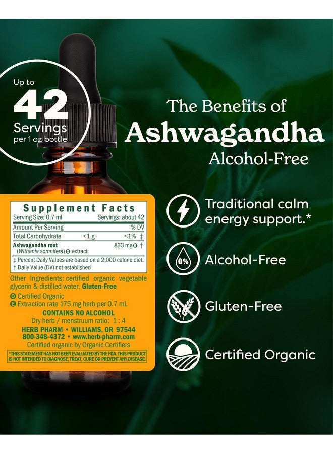 Herb Pharm Organic Ashwagandha Liquid Extract, Alcohol-Free: Mood Support Supplement, Vegan Ashwagandha Root Glycerite, Tasty Non-Bitter Adaptogen Extract for Adults, Non-GMO, 1 Oz - Image 2