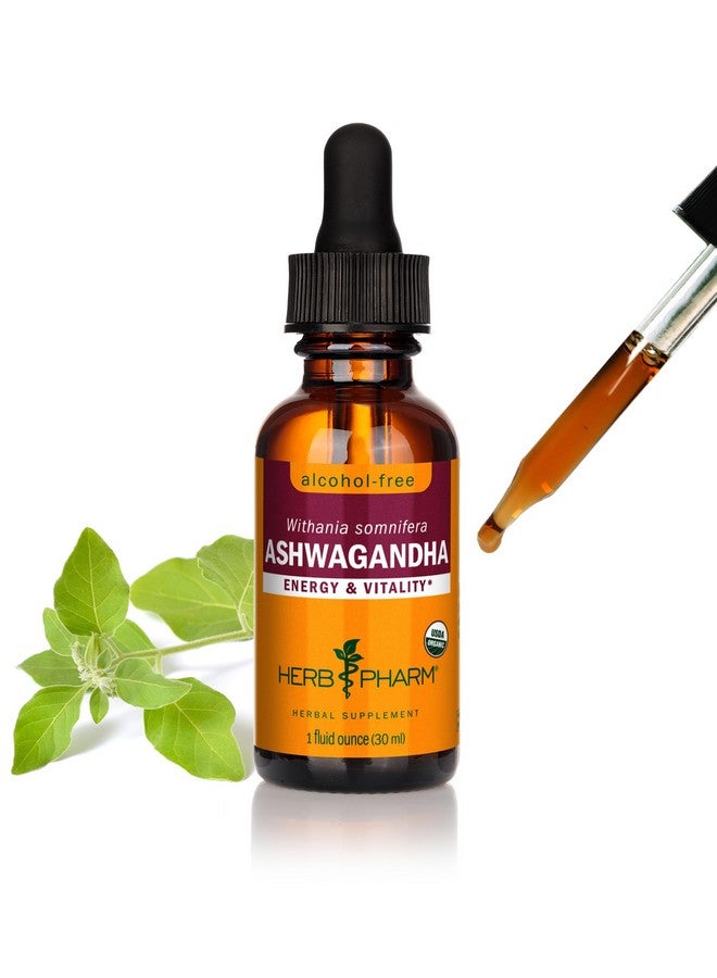 Herb Pharm Organic Ashwagandha Liquid Extract, Alcohol-Free: Mood Support Supplement, Vegan Ashwagandha Root Glycerite, Tasty Non-Bitter Adaptogen Extract for Adults, Non-GMO, 1 Oz - Image 1