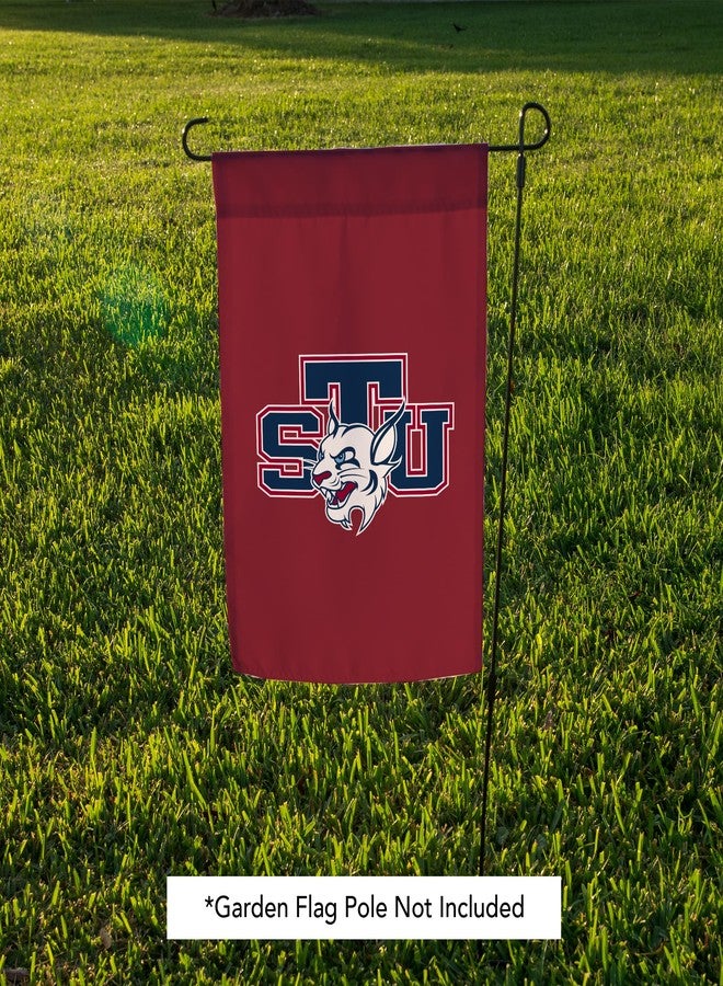 ديزرت كاكتوس علم حديقة جامعة سانت توماس STU بنقشة صبار الصحراء - راية سانت توماس بوبكاتس مقاس 19 × 12 بوصة، للعرض الخارجي والفعاليات (التصميم B) - Image 5