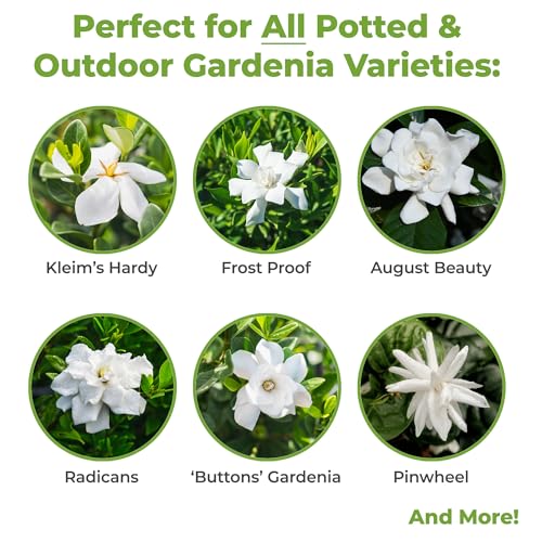 Perfect Plants Gardenia Liquid Fertilizer | 8oz. Tailored Bloom Boosting Plant Food | Great for Indoor Outdoor Flowering Plants - Image 3