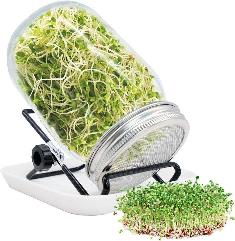 BLLREMIPSUR Sprouting Jar, Sprouts Growing kit, Mason Jar for Bean Sprouts Grow, Seed Sprouter Set for Growing Alfalfa, Mung Bea - Image 1