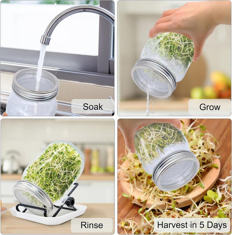 BLLREMIPSUR Sprouting Jar, Sprouts Growing kit, Mason Jar for Bean Sprouts Grow, Seed Sprouter Set for Growing Alfalfa, Mung Bea - Image 3