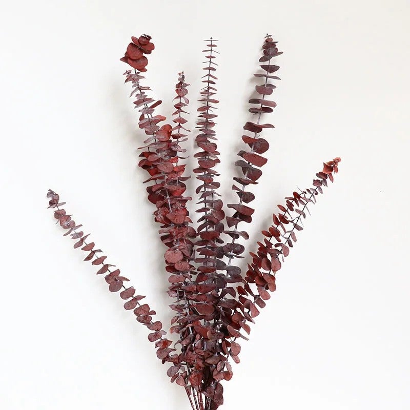 Bluejw EM3408 Dried Eucalyptus Branches for Home & Wedding Decor – Natural Preserved Dry Floral Arrangement with Real Dried Plants, Greenery Stems & Leaves - Image 3