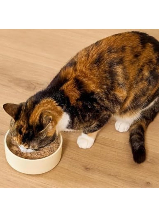 Open Farm Grain Free Wild-Caught Salmon Recipe Pate Canned Wet Cat Food 79gm - Image 3