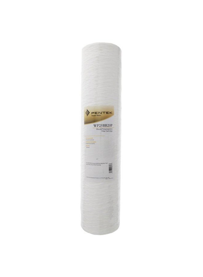 Pentek Pentair WP25BB20P Big Blue Sediment Water Filter, 20-Inch, Whole House Polypropylene String-Wound Filter Cartridge, 20" x 4.5", 25 Micron - Image 1