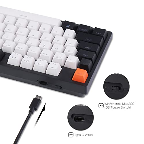 Keychron كيبورد ميكانيكي سلكي قابل للتبديل السريع من نوع Keychron C1 مع مفتاح Gateron G Pro Brown / أغطية مفاتيح ABS مطبوعة مزدوجة / إضاءة خلفية بيضاء / كابل USB Type-C، بدون لوحة أرقام 87 مفتاح لماك وويندوز - Image 3