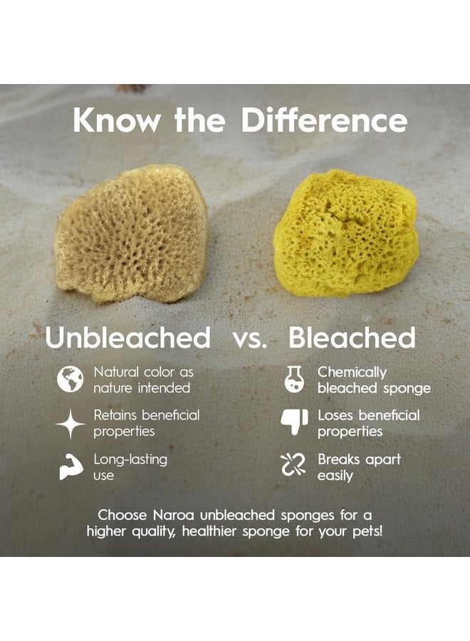 Naroa Natural Hermit Crab Sponges - Pack of 5 | Unbleached Sea Sponge for Water Drinking Safety | Aquarium Decor Balance Tank Humidity | Crab Supplies Accessories - Image 2
