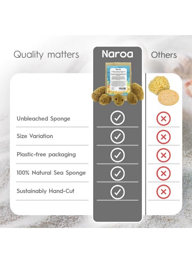Naroa Natural Hermit Crab Sponges - Pack of 5 | Unbleached Sea Sponge for Water Drinking Safety | Aquarium Decor Balance Tank Humidity | Crab Supplies Accessories - Image 3
