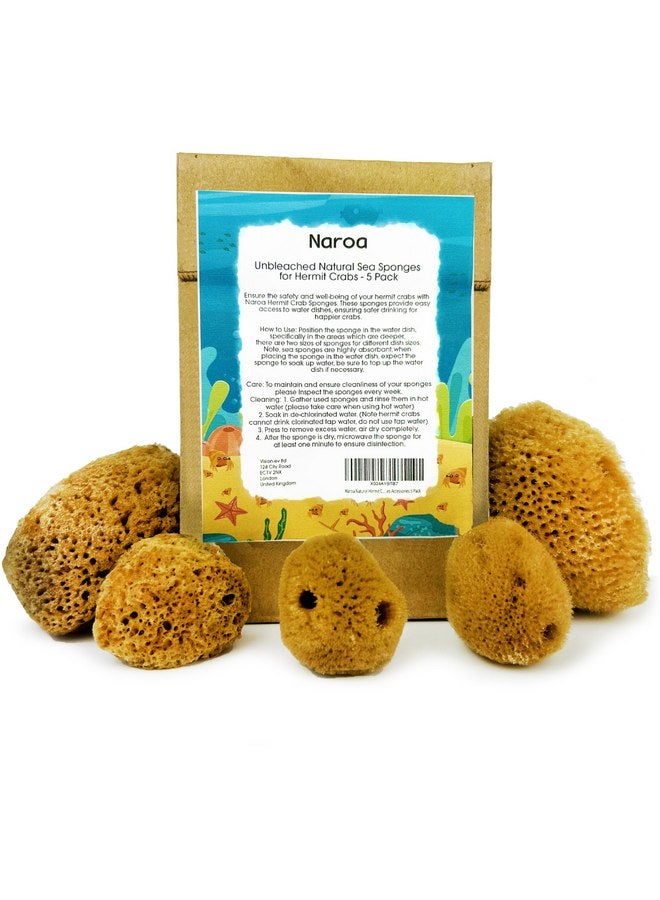 Naroa Natural Hermit Crab Sponges - Pack of 5 | Unbleached Sea Sponge for Water Drinking Safety | Aquarium Decor Balance Tank Humidity | Crab Supplies Accessories - Image 1