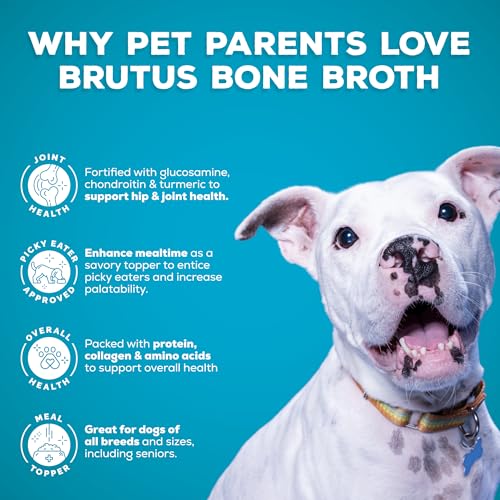 Brutus Bone Broth Brutus Beef Bone Broth for Dogs - All Natural Bone Broth with Chondroitin Glucosamine & Turmeric, Human Grade Food Toppers for Picky Eaters & Dry Food -Tasty & Nutritious- Pack of 2 - Image 3