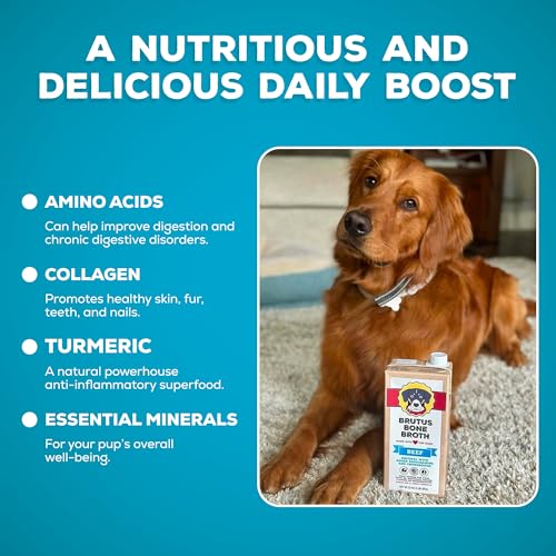 Brutus Bone Broth Brutus Beef Bone Broth for Dogs - All Natural Bone Broth with Chondroitin Glucosamine & Turmeric, Human Grade Food Toppers for Picky Eaters & Dry Food -Tasty & Nutritious- Pack of 2 - Image 5