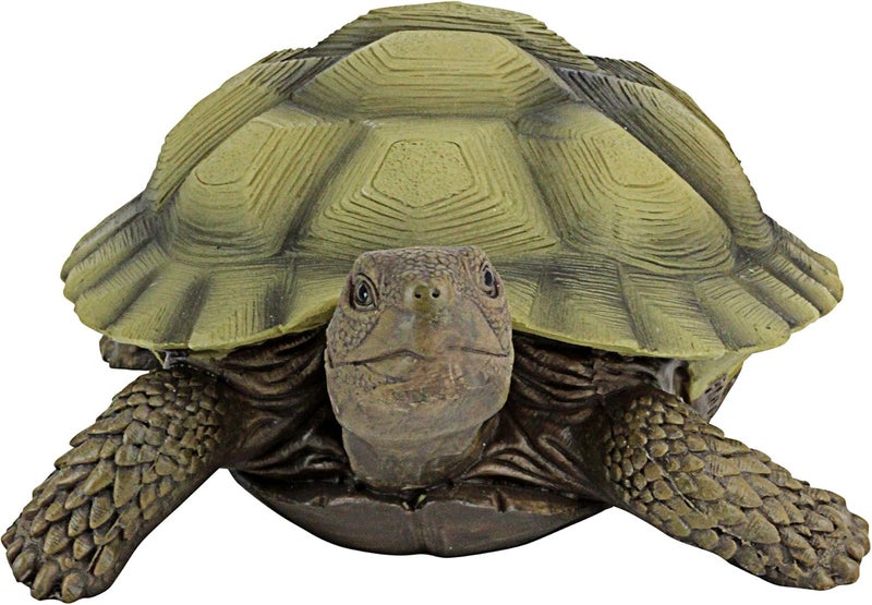 Design Toscano QM1887611 Gilbert The Box Turtle Garden Decor Animal Statue, 9 Inch, Full Color - Image 2