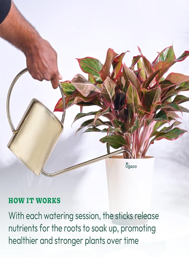 UGAOO Plant Food Sticks For All Home Garden Indoor & Outdoor Plants - Pack Of 20 - Image 5