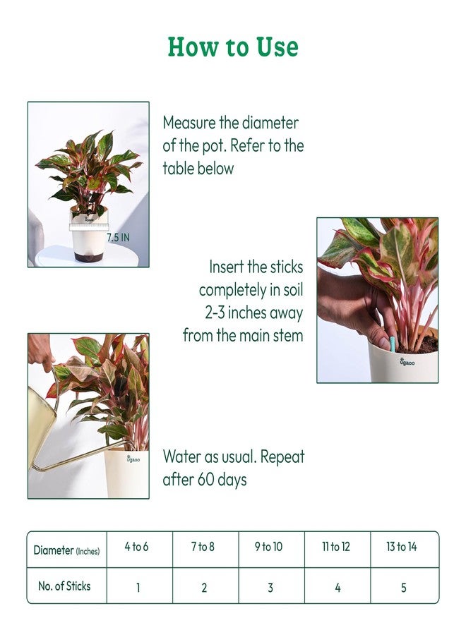 UGAOO Plant Food Sticks For All Home Garden Indoor & Outdoor Plants - Pack Of 20 - Image 3