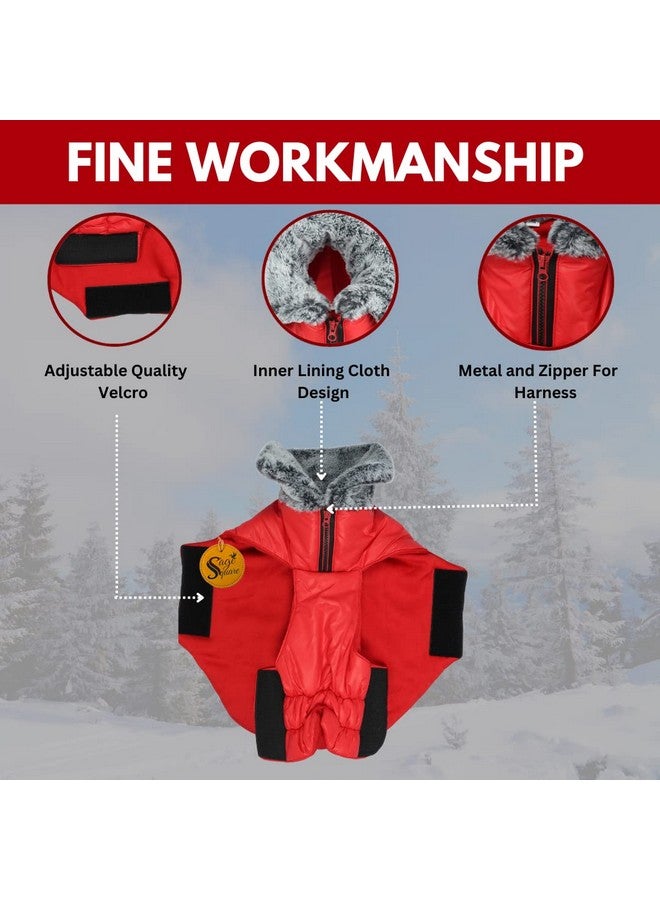 سايج سكوير معطف شتوي للكلاب مع طوق من الفرو خفيف الوزن، مقاوم للرياح والدفء للغاية، سترة للكلاب مقاومة للماء للطقس البارد، سترة صوفية سميكة للطقس البارد (مقاس كبير جدًا - 28 بوصة، أحمر) - Image 2