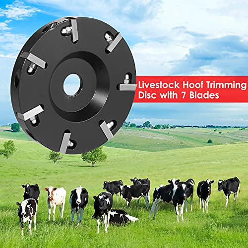 VISLONE Livestock Hoof Trimming Disc Plate Hoof Trimming Discs Hoof Grinding Discs Claws Hoof Care Tool with 7 Blades - Image 4