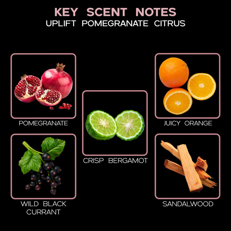 LOVSPA Reed Diffuser Set, Uplift Pomegranate Citrus Scented Oil Diffuser with Sticks, Home Fragrance Accessories for Bathroom Shelf Decor, Aroma Diffusers for Home or Office Desk, USA Made - Image 3