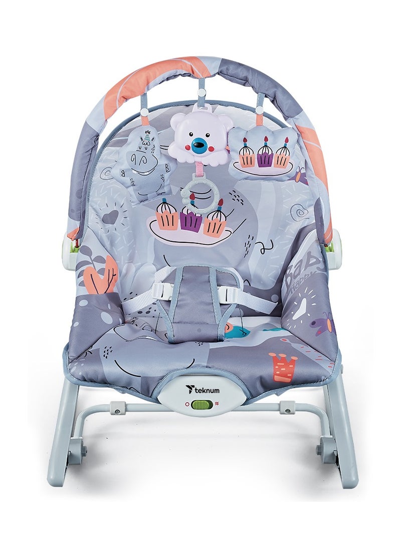 TEKNUM 3In1 Rocker/Baby Seat/Recliner with Soothing Music - Party Grey - pzsku/Z2A37EA5D181894519D24Z/45/_/1728629870/bb64a483-263b-4aeb-92b1-ef7b17f564b0