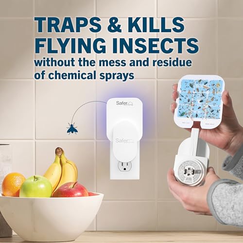 Safer Home SH512 Trap Refill Pack of Glue Cards for SH502 Indoor Fly Trap, 12 Count (Pack of 1) - Image 3