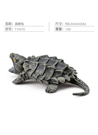 T15476 Real Crocodile Turtle 13g