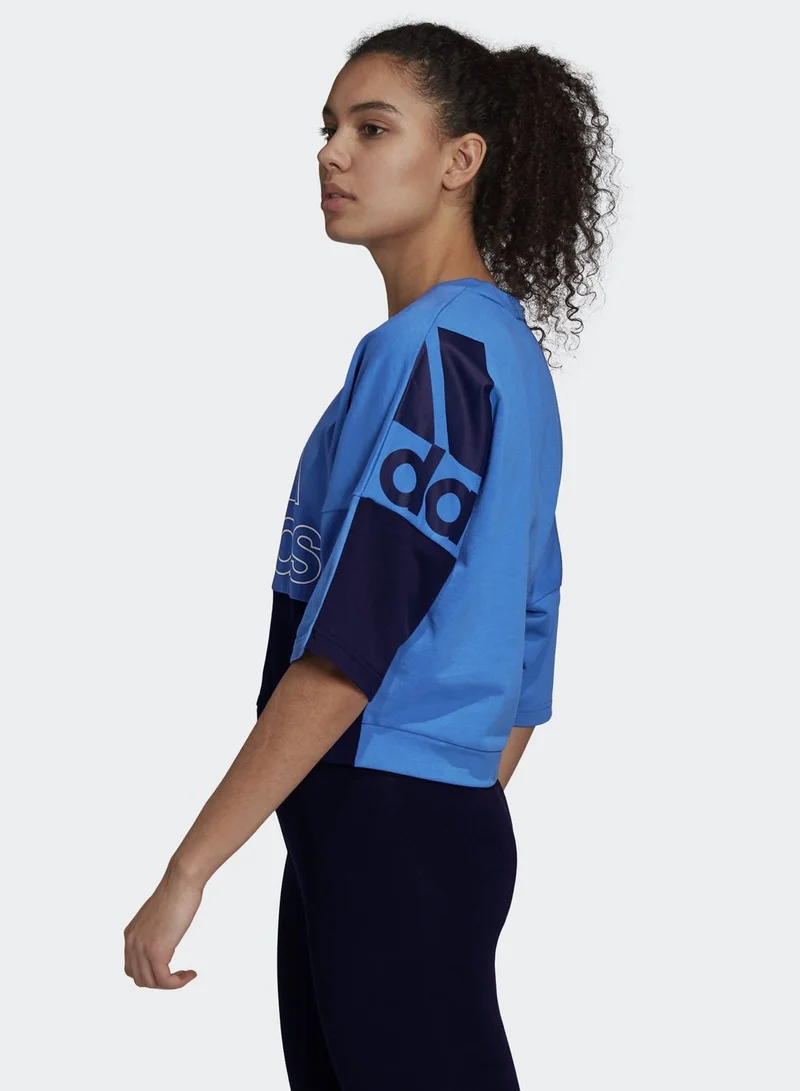Adidas Must Have Color Block Sweatshirt
