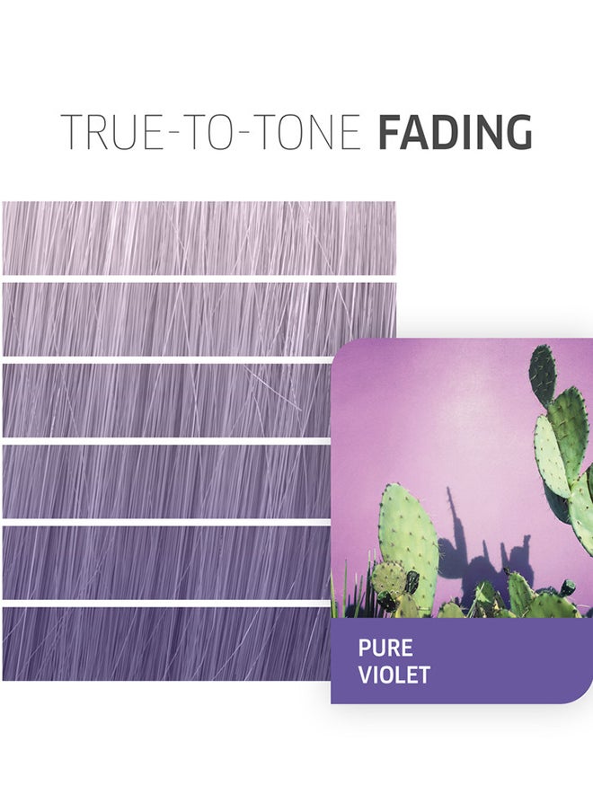 Color Fresh Create Pure Violet 60Ml - pzsku/Z2A3AB4C3730842536738Z/45/_/1723111844/70c6ffa2-d5ba-496f-bbe0-f0c3cb922272