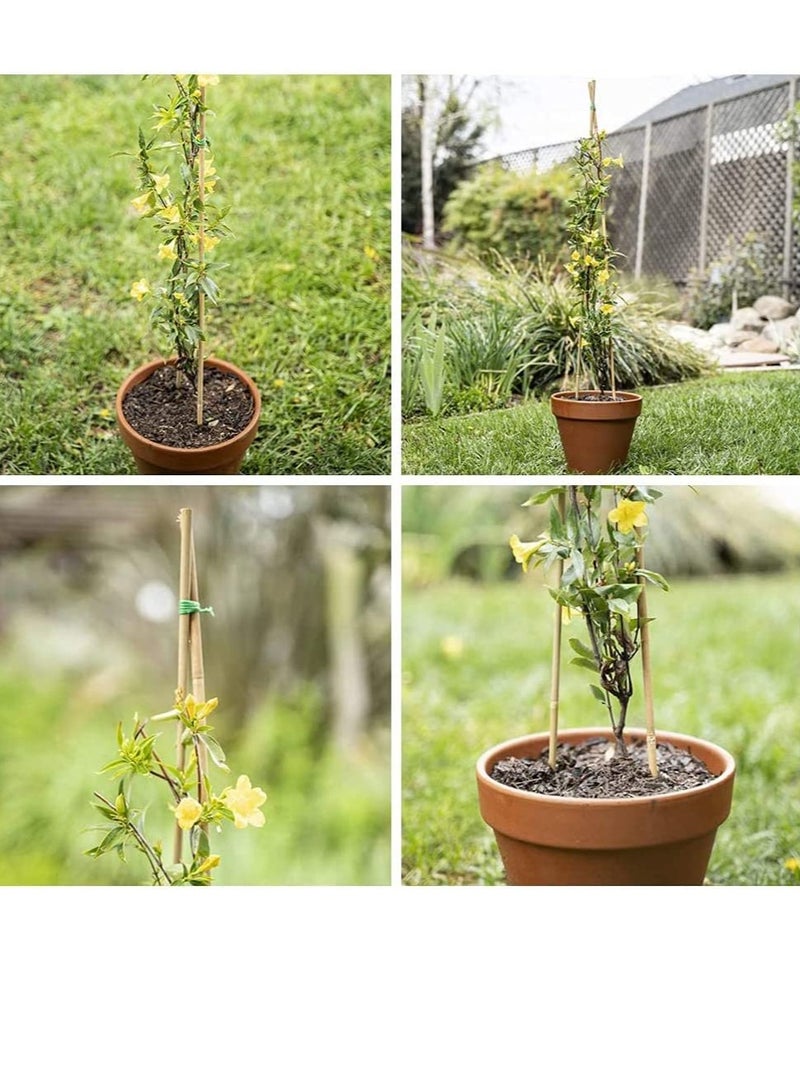 Generic 5PCS Natural Bamboo Poles for Gardening – Plant Support Stakes 60cm, 100cm, 120cm | Strong & Durable Bamboo Sticks for Indoors & Outdoors | Eco-Friendly Bamboo Garden Poles for Plants & DIY Projects  - Image 5