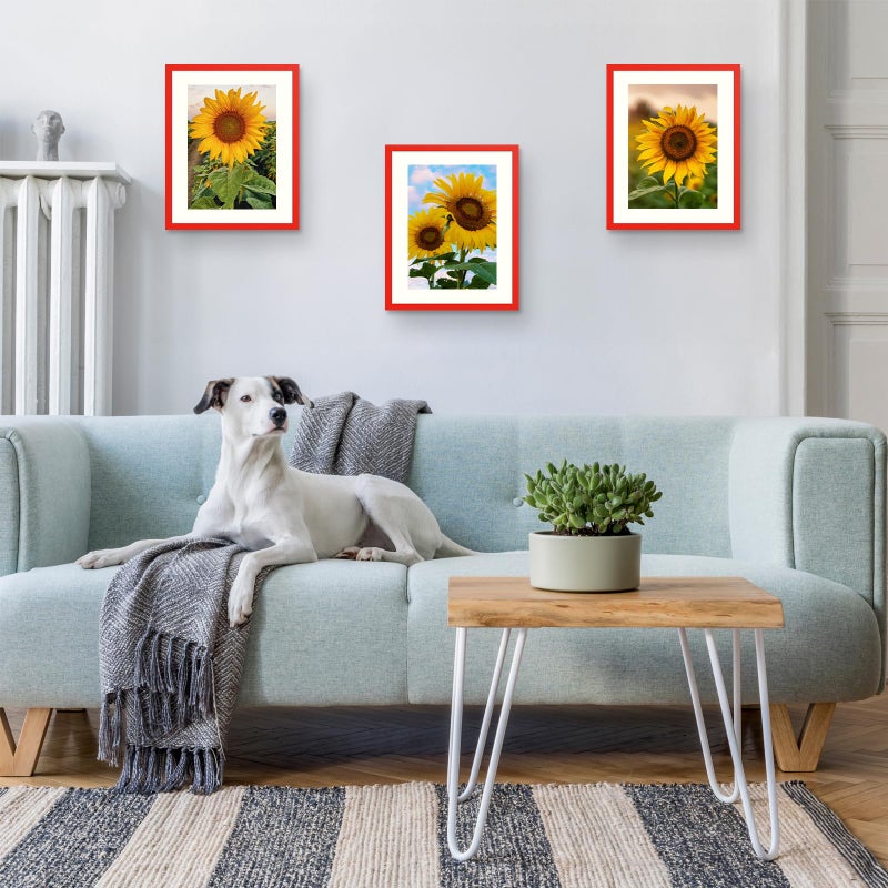 wyooxoo 16x20 Picture Frame Red Solid Wood Photo Frames Display Pictures 12x16 with Mat or 16x20 Without Mat Colorful Frame For Horizontal Vertical Wall Mounting - Image 5